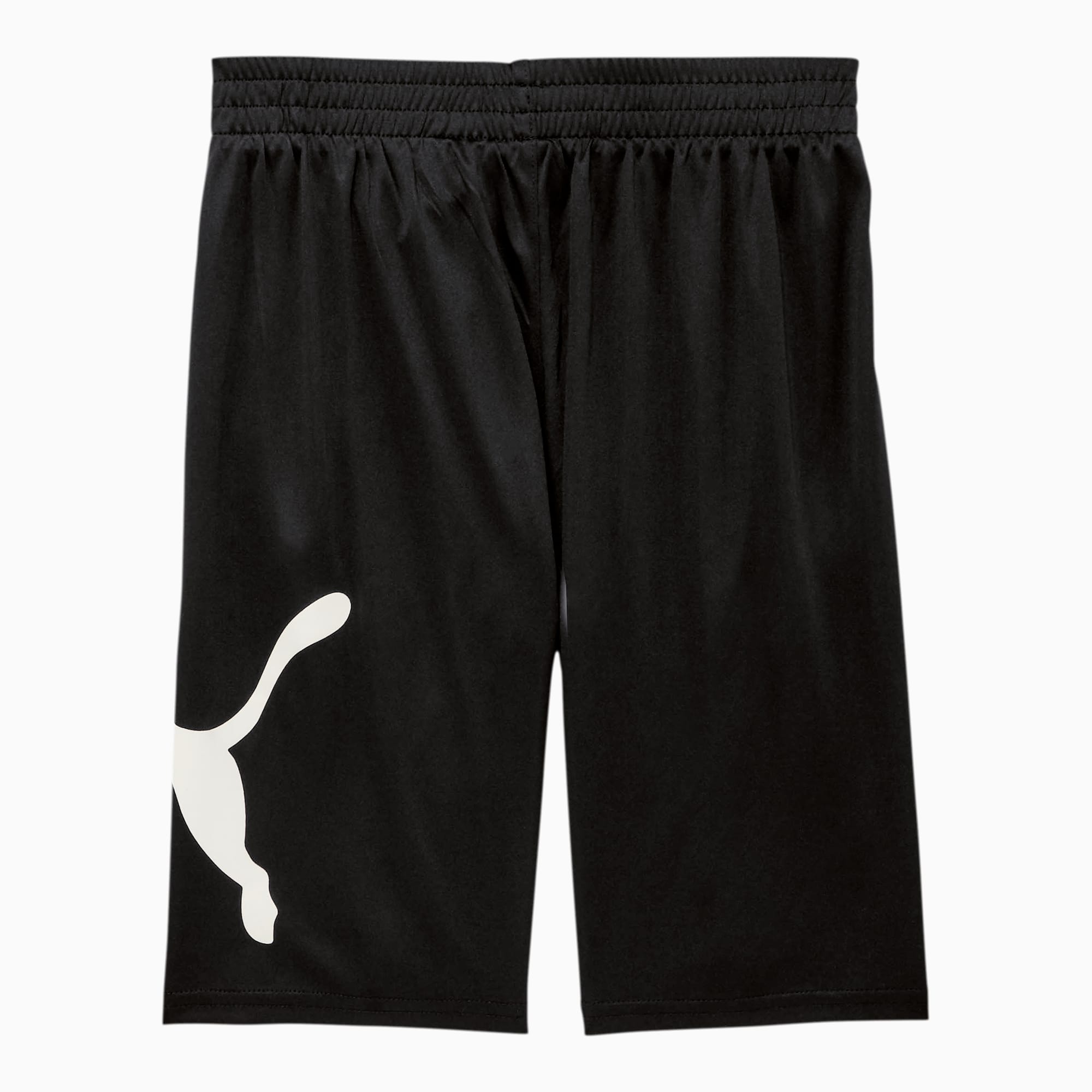 Puma speed shorts store