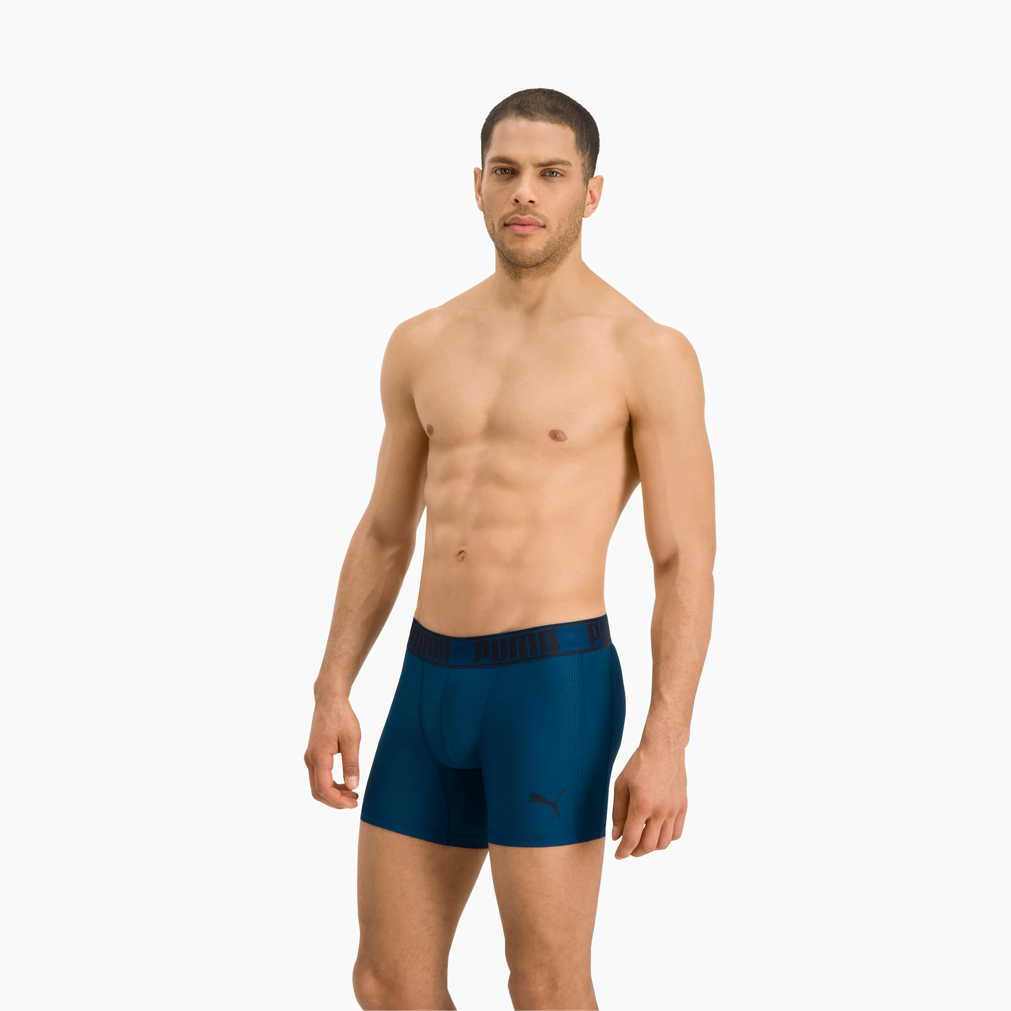 boxer active puma boxer active puma