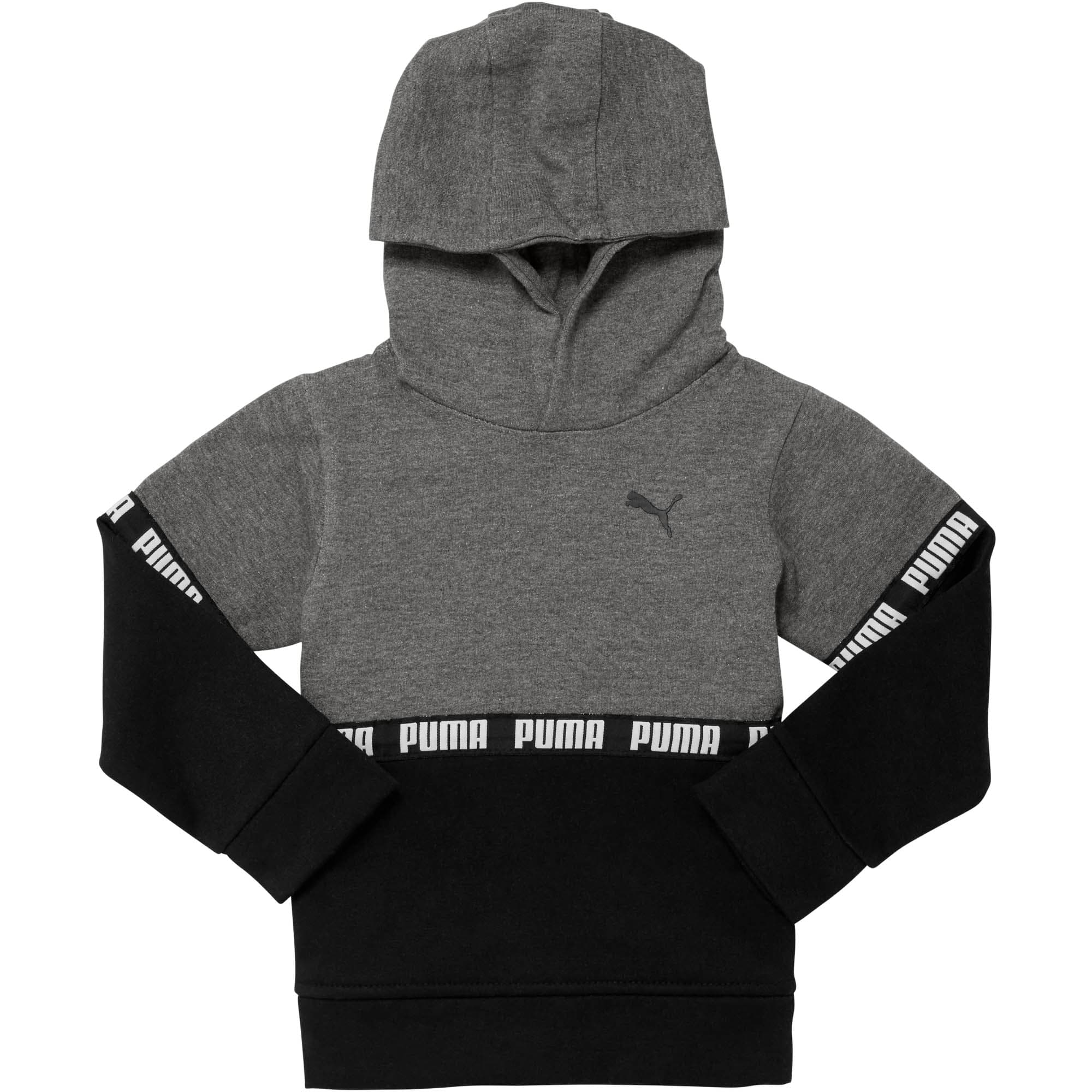Puma colorblock cheap hoodie