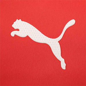 メンズ ゴルフ ツアー ドライバー キャップ, High Risk Red