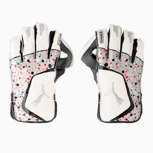 Future 20.3 Cricket Wicket Keeping Gloves, Puma Black-Puma White, extralarge-IND