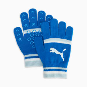 ユニセックス キャットロゴ マジックグローブ, PUMA Team Royal-Frosted Dew, extralarge-JPN
