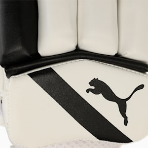 PUMA Future 3.2 Cricket Batting Gloves, PUMA White-PUMA Black, extralarge-IND