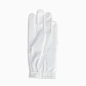メンズ ゴルフ P グローブ 左手用, Bright White-Deep Navy, extralarge-JPN
