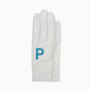 メンズ ゴルフ P グローブ 右手用, Bright White-Silver Sky, extralarge-JPN
