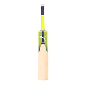 evoPOWER 3.17 bat, Yellow-Blue-Silver