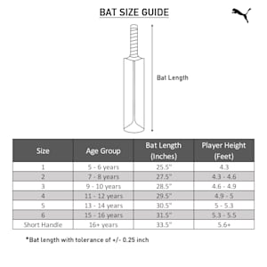 evoSPEED 7.17 Youth Cricket Bat, Orange-Purple-White