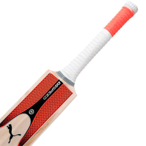 evoSPEED Kashmir Willow 2 Cricket Bat, Nrgy Red-Puma Black