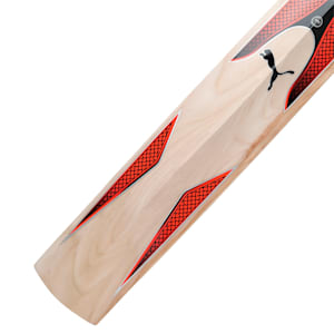 evoSPEED Kashmir Willow 2 Cricket Bat, Nrgy Red-Puma Black