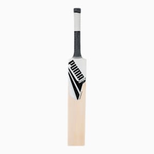 PUMA Future 20.2 Kashmir Willow Youth Cricket Bat, Puma Black-Puma White, extralarge-IND