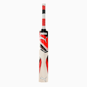 Liberate Pro Men's English Willow Cricket Bat, Basic Orange, extralarge-IND