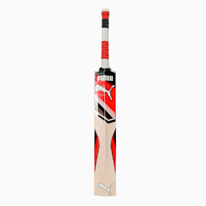 Liberate Play Men's English Willow Cricket Bat, Basic Orange, extralarge-IND