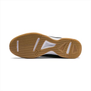 Tenaz Indoor Sport Unisex Shoes, Puma Black-Puma White-Iron Gate-Gum