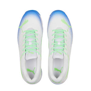 Spike 22.2 Men's Cricket Shoes, Puma White-Elektro Green-Bluemazing
