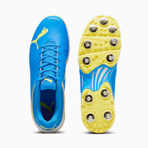 PUMA Spike 22.2 Unisex Cricket Shoes, Ultra Blue-Racing Blue-Yellow Blaze, extralarge-IND