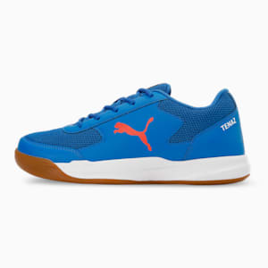 Ad-Court Indoor Sports Shoes, PUMA Team Royal-Cherry Tomato-PUMA White, extralarge-IND
