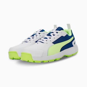 Cricket High Run Men's Shoes, PUMA White-Blazing Blue-Fast Yellow, extralarge-IND