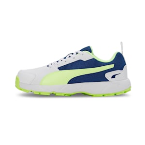 Cricket High Run Men's Shoes, PUMA White-Blazing Blue-Fast Yellow, extralarge-IND