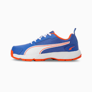 Cricket High Run Men's Shoes, Royal Sapphire-PUMA White-Cayenne Pepper, extralarge-IND