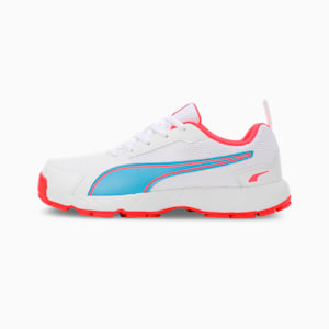 Cricket High Run Men's Shoes, PUMA White-Ethereal Blue, extralarge-IND