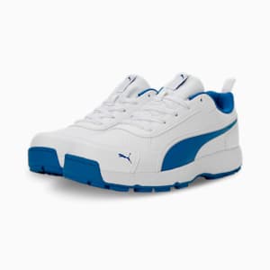 Cricket Classic Cat Men's Shoes, PUMA White-PUMA Team Royal-PUMA Silver, extralarge-IND