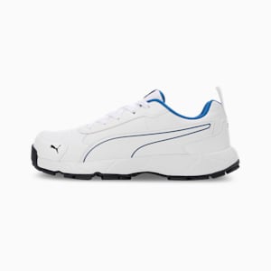 Cricket Classic Cat Men's Shoes, PUMA White-PUMA Navy-PUMA Team Royal Blue, extralarge-IND