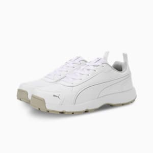 Cricket Classic Cat Men's Shoes, PUMA White-PUMA Silver, extralarge-IND