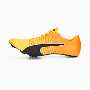 メンズ ランニング エヴォスピード トーキョー フューチャー ファスター+ 陸上用 スパイク, Sun Stream-Sunset Glow-Puma Black, extralarge-JPN