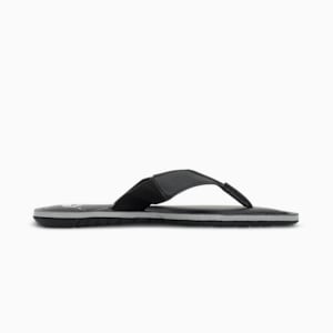 Capster V3 Men's Flipflops, Puma Black-Silver-Harbor Mist