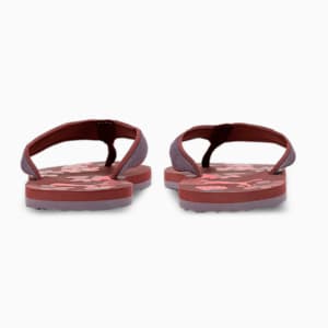 Sofi V4 Women's Flipflops, Wood Violet-Purple Charcoal-PUMA White, extralarge-IND