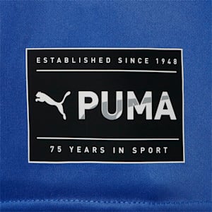 メンズ トレーニング PUMA FIT ULTRABREATHE 半袖 Tシャツ, Royal Sapphire