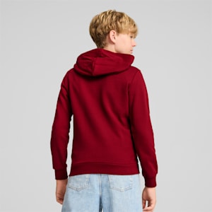 CLASSICS Logo Big Kids' Hoodie, Intense Red, extralarge