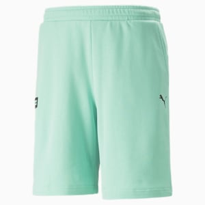Mercedes AMG Petronas F1 Men's Regular Fit Shorts, Spectra Green, extralarge-IND