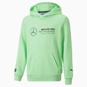 Mercedes-AMG Petronas Motorsport F1 Logo Hoodie Youth, Paradise Green