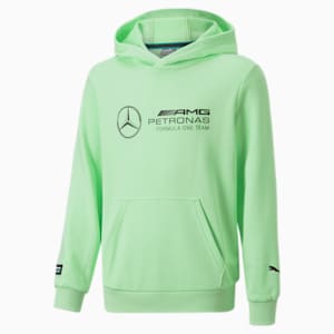 Mercedes AMG Petronas F1 Logo Youth Regular Fit Hoodie, Paradise Green, extralarge-IND