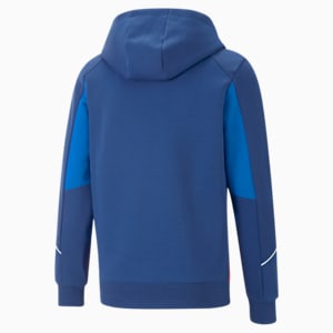 BMW M Motorsport Men's Hooded Sweat Jacket, Pro Blue-M Color