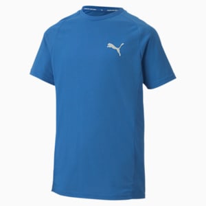 Evostripe T-Shirt, Palace Blue