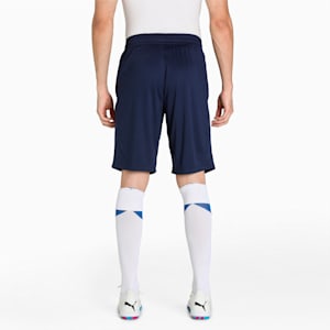 Active Interlock Regular Fit Men's Shorts, Peacoat