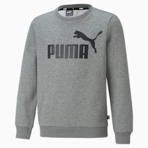 Essentials Big Logo Crew Neck Youth Sweatshirt, Medium Gray Heather