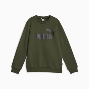 Big Logo Boy's Crew-Neck Sweat Shirt, Myrtle, extralarge-IND