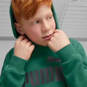 Essentials Big Logo Youth Hoodie, Vine