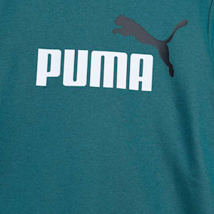 Two Tone Big Logo Youth Sweatshirt, Cold Green, extralarge-IND