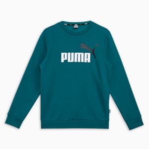 Two Tone Big Logo Youth Sweatshirt, Cold Green, extralarge-IND