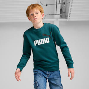 Two Tone Big Logo Youth Sweatshirt, Cold Green, extralarge-IND
