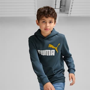 Essential+ 2 Colour Big Logo Boy's Hoodie, Gray Skies, extralarge-IND