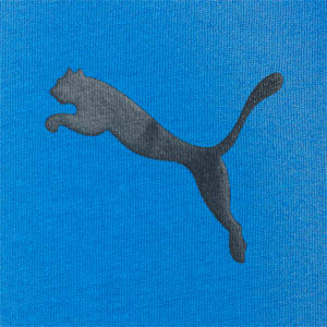メンズ ACTIVE ソフト 半袖 Tシャツ, Puma Royal