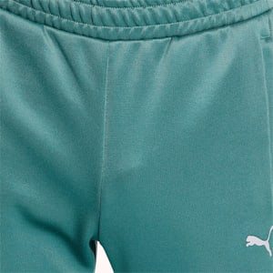 Scuderia Ferrari Style T7 Men's Track Slim Pants, Blue Spruce