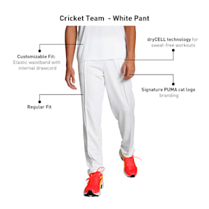 Cricket Team Men's Regular Fit Pants, PUMA White, extralarge-IND