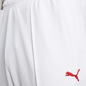 Cricket Team Men's Regular Fit Pants, PUMA White, extralarge-IND