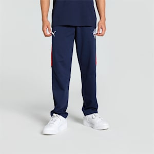 PUMA x DC Men's Cricket Tape Pants, PUMA Navy-For All Time Red-Strong Blue-PUMA White, extralarge-IND